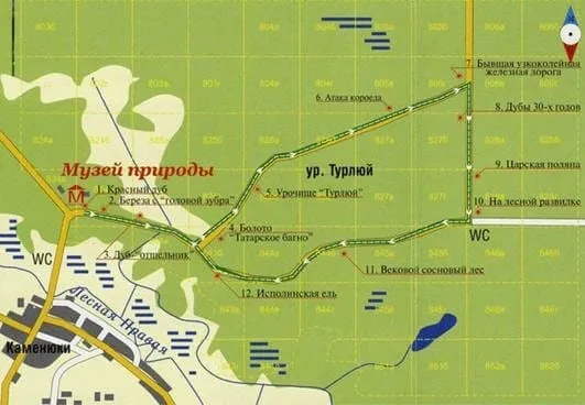 Царская поляна