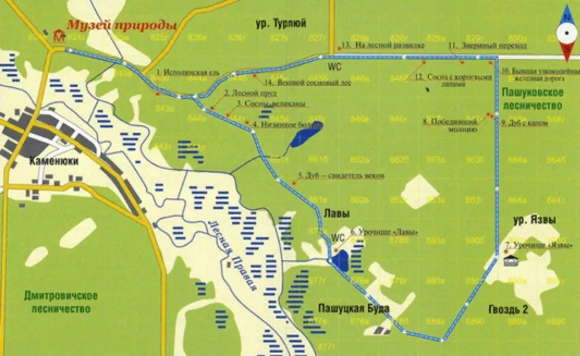 Звериный переход